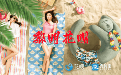 不可胜数花呗